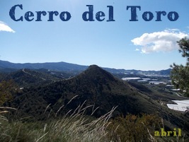 Cerro del Toro de Motril
